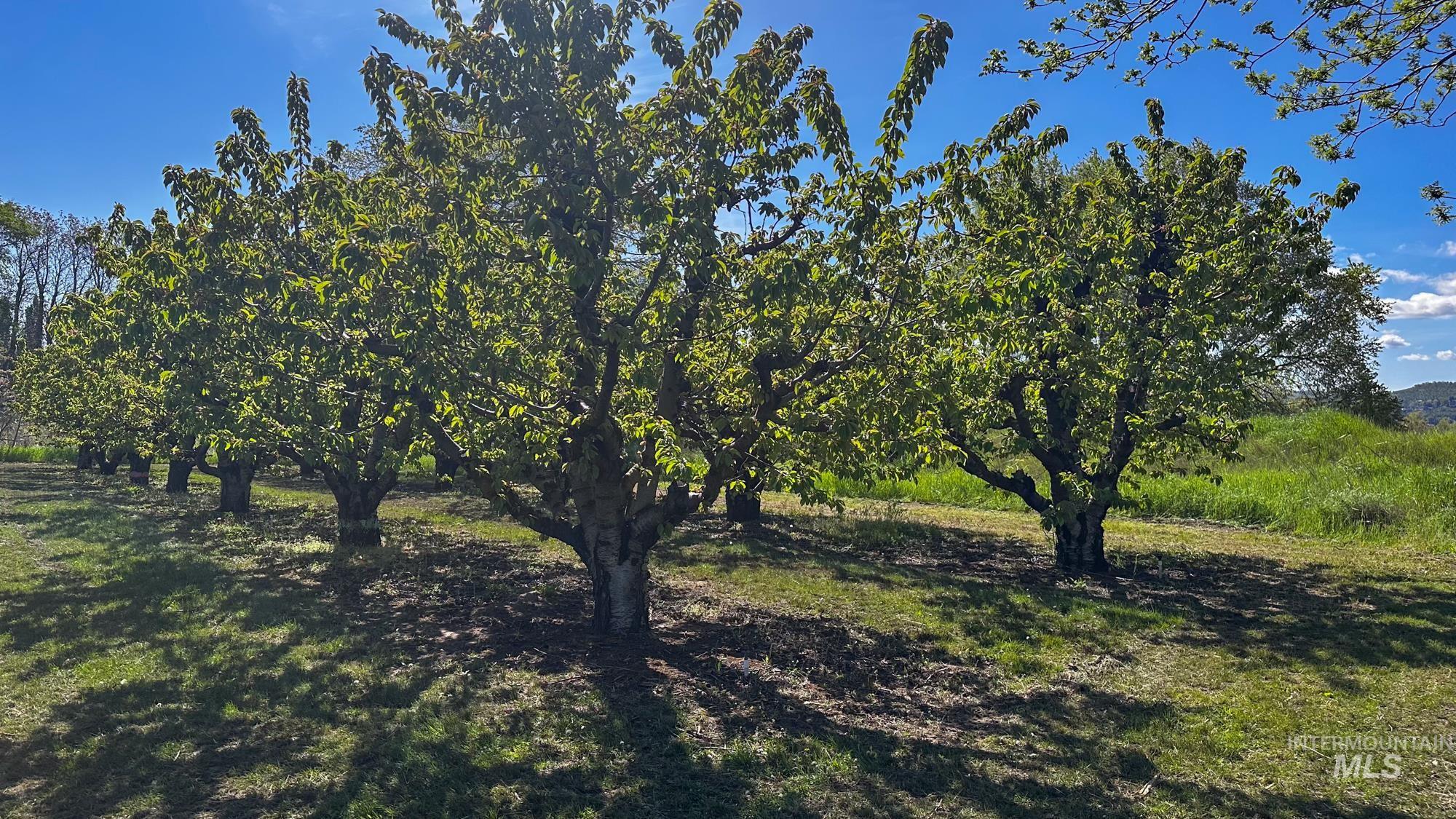 0 Garden Lane, Outside City Limits, Washington 98617, Farm & Ranch For Sale, Price $525,000,MLS 98970285