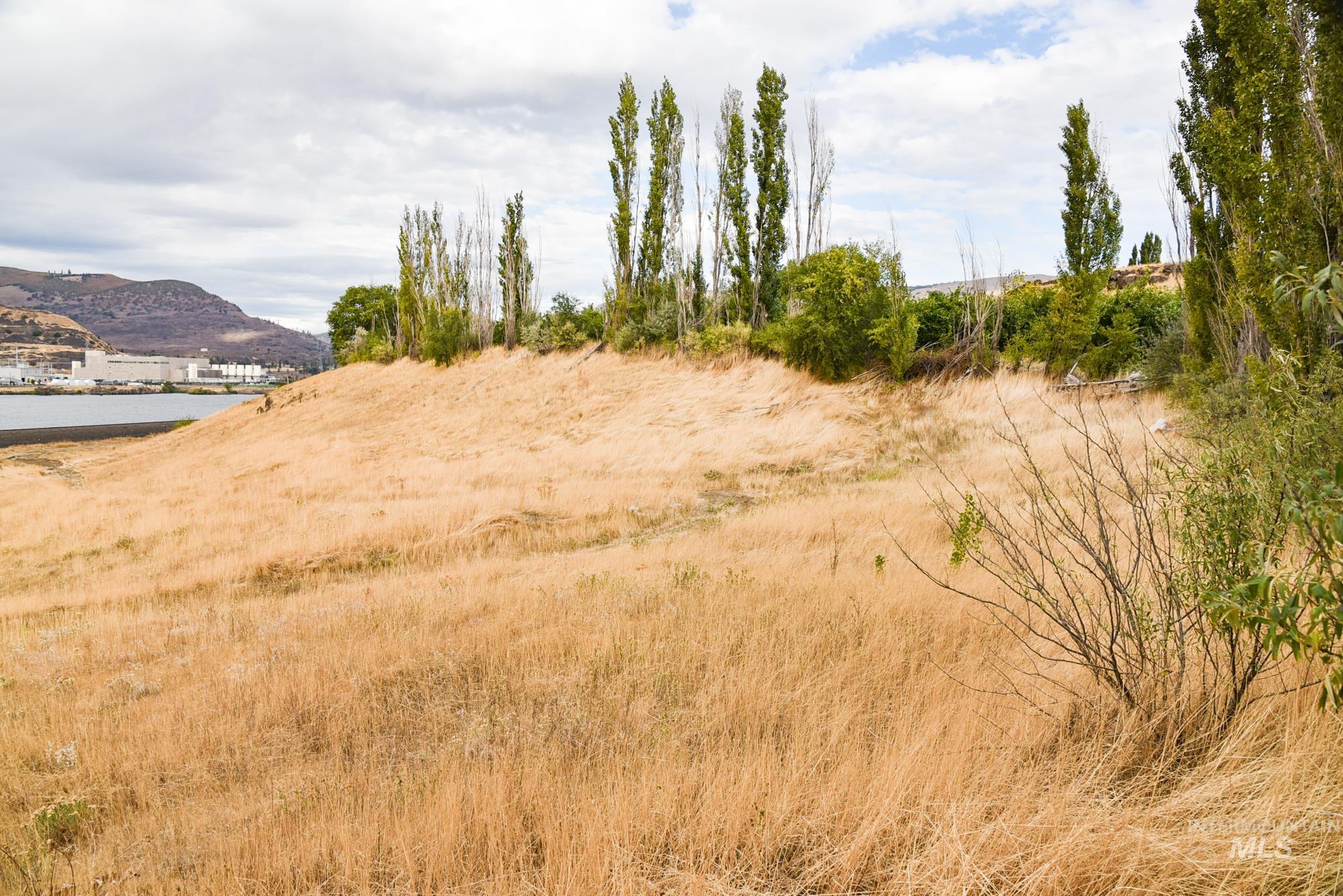 View of local wilderness