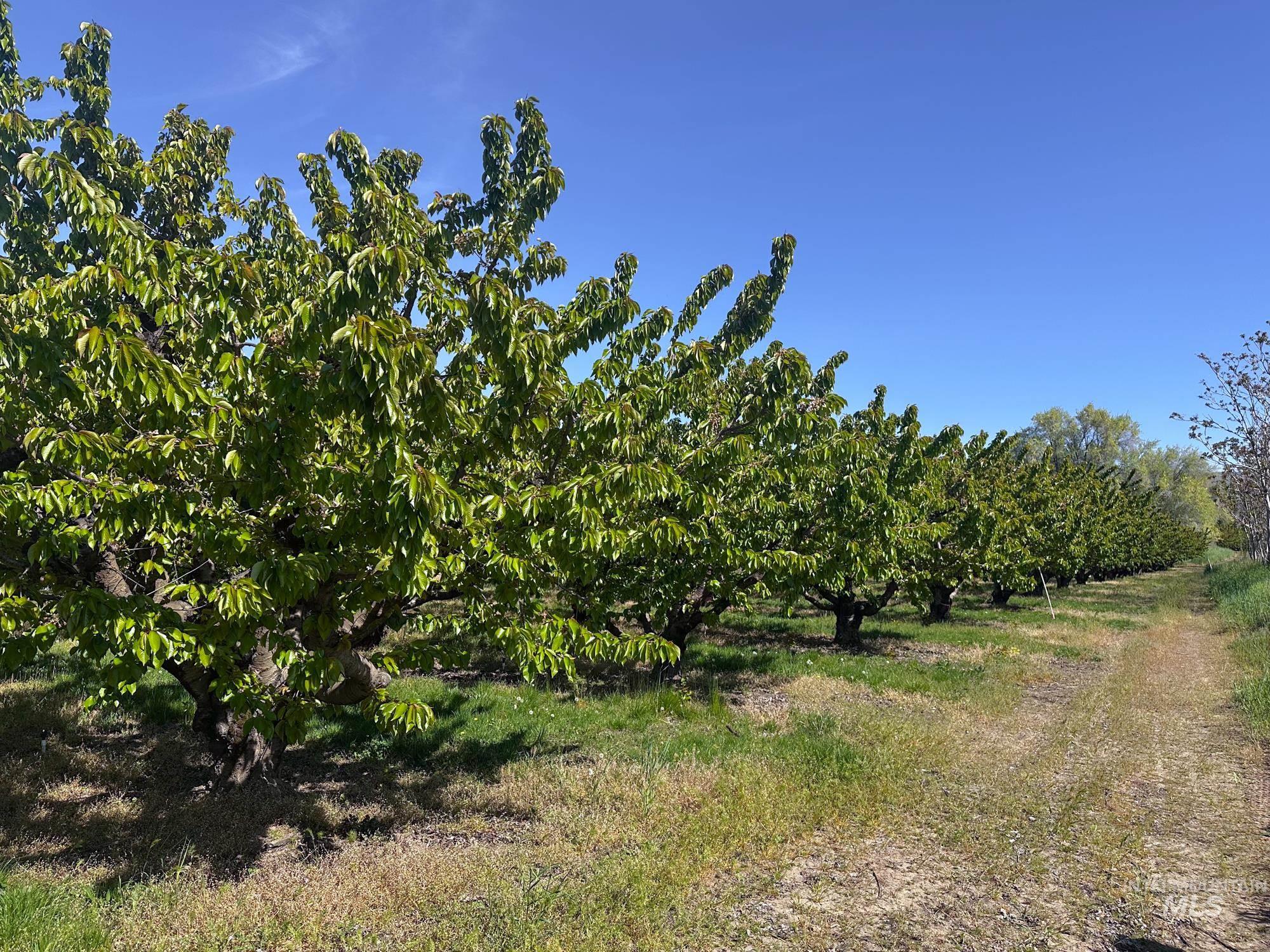 0 Garden Lane, Outside City Limits, Washington 98617, Farm & Ranch For Sale, Price $525,000,MLS 98970285