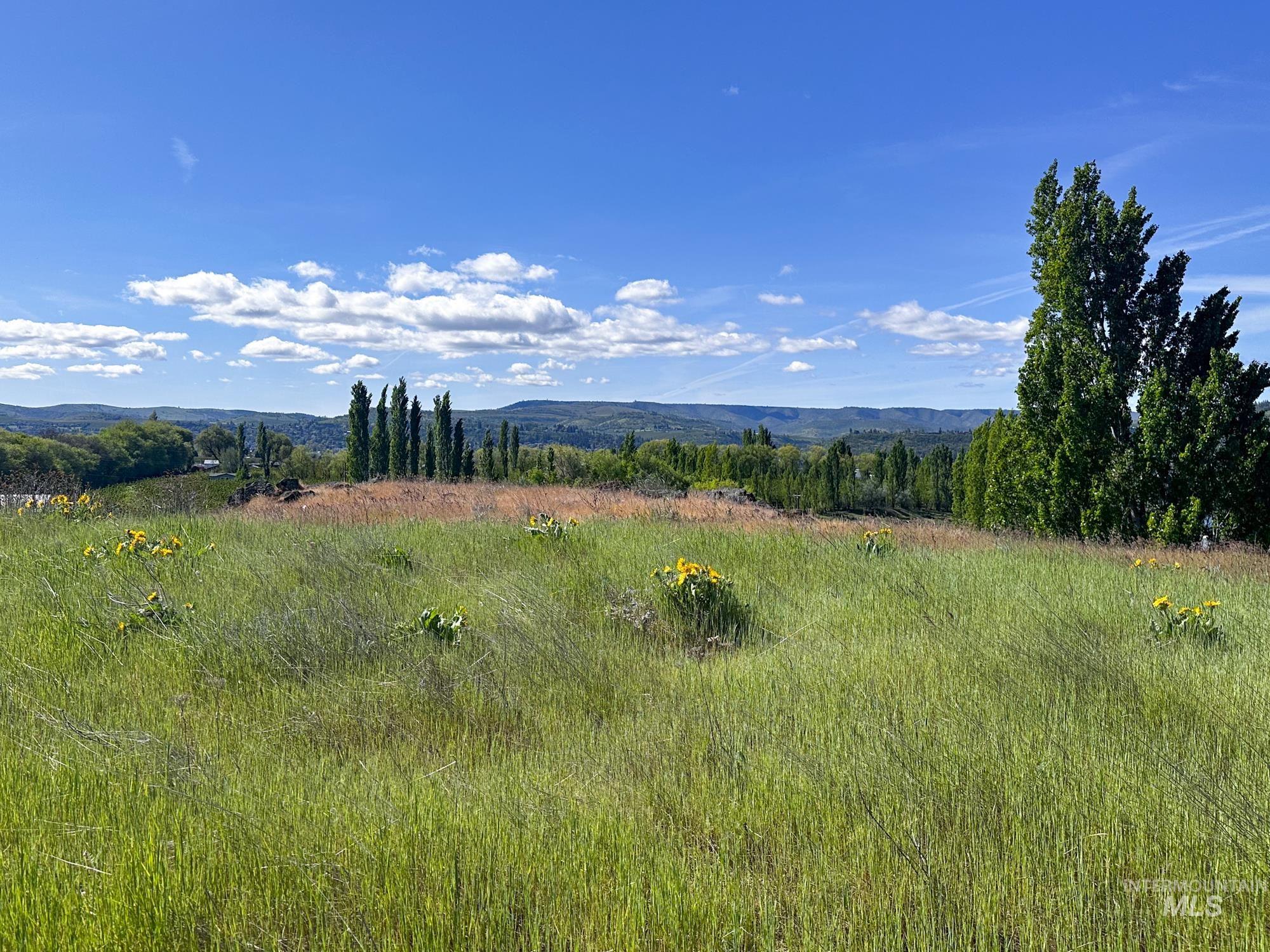 0 Garden Lane, Outside City Limits, Washington 98617, Farm & Ranch For Sale, Price $525,000,MLS 98970285