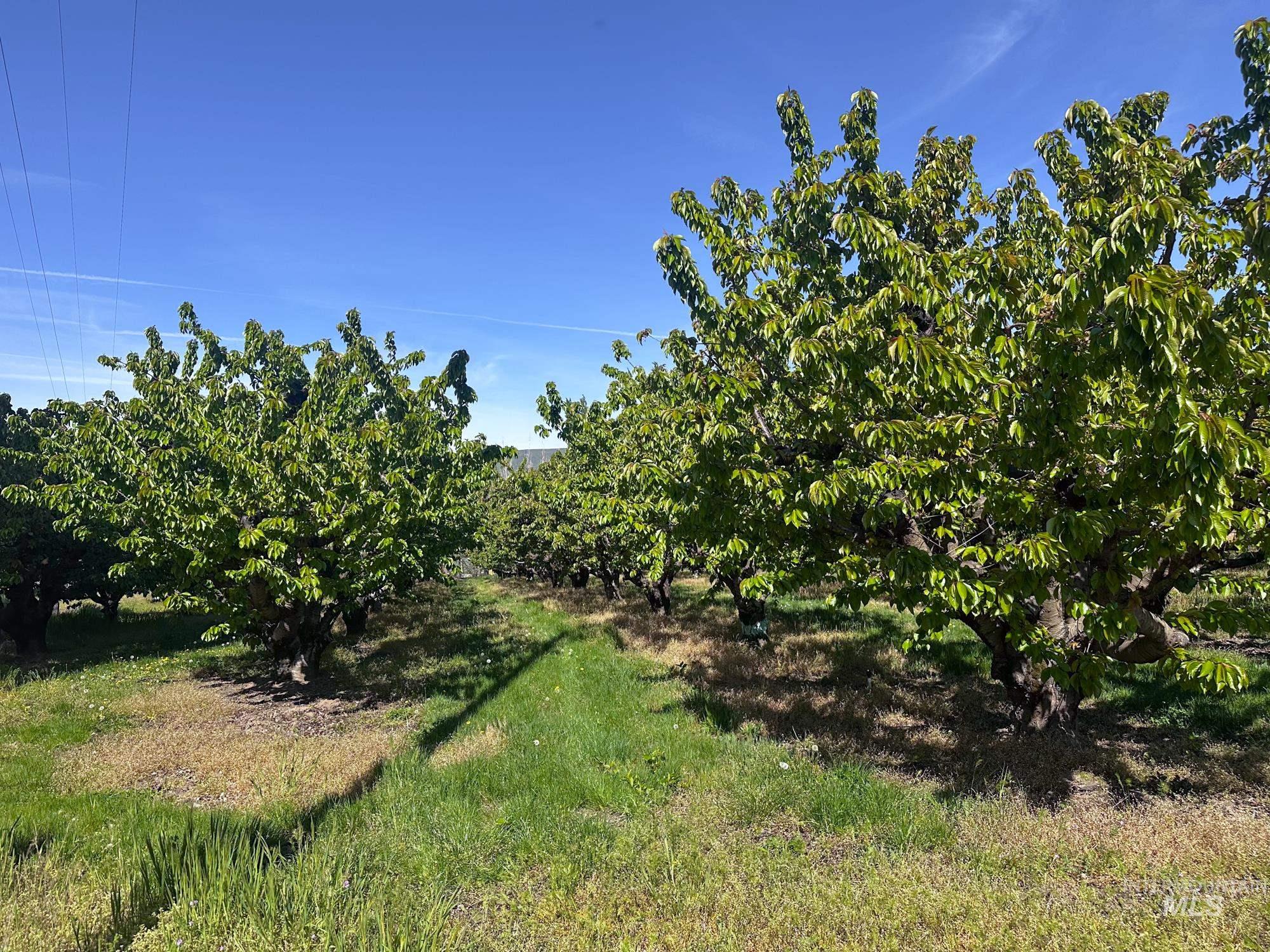 0 Garden Lane, Outside City Limits, Washington 98617, Farm & Ranch For Sale, Price $525,000,MLS 98970285