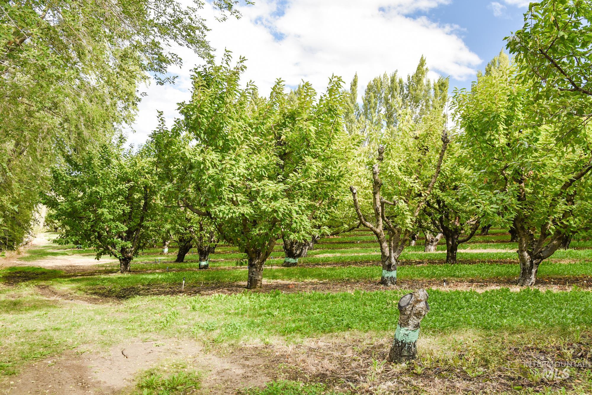 View of yard featuring a view of rural / pastoral area