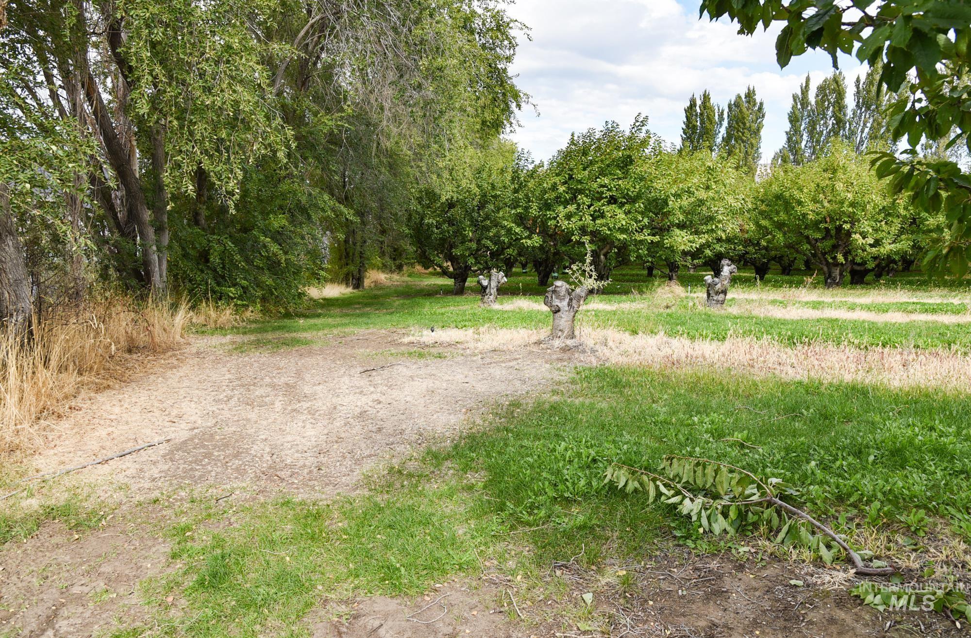 View of yard featuring a view of rural / pastoral area