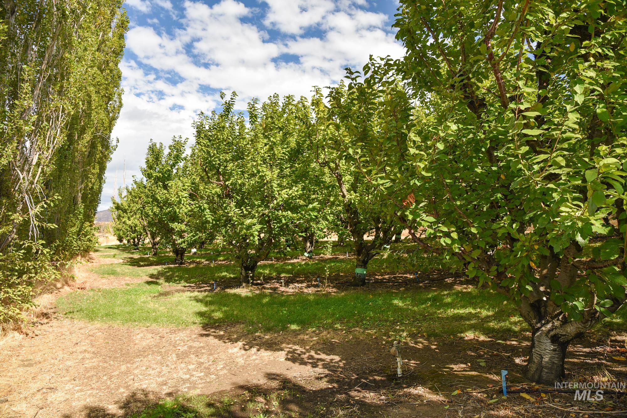View of local wilderness featuring rural landscape