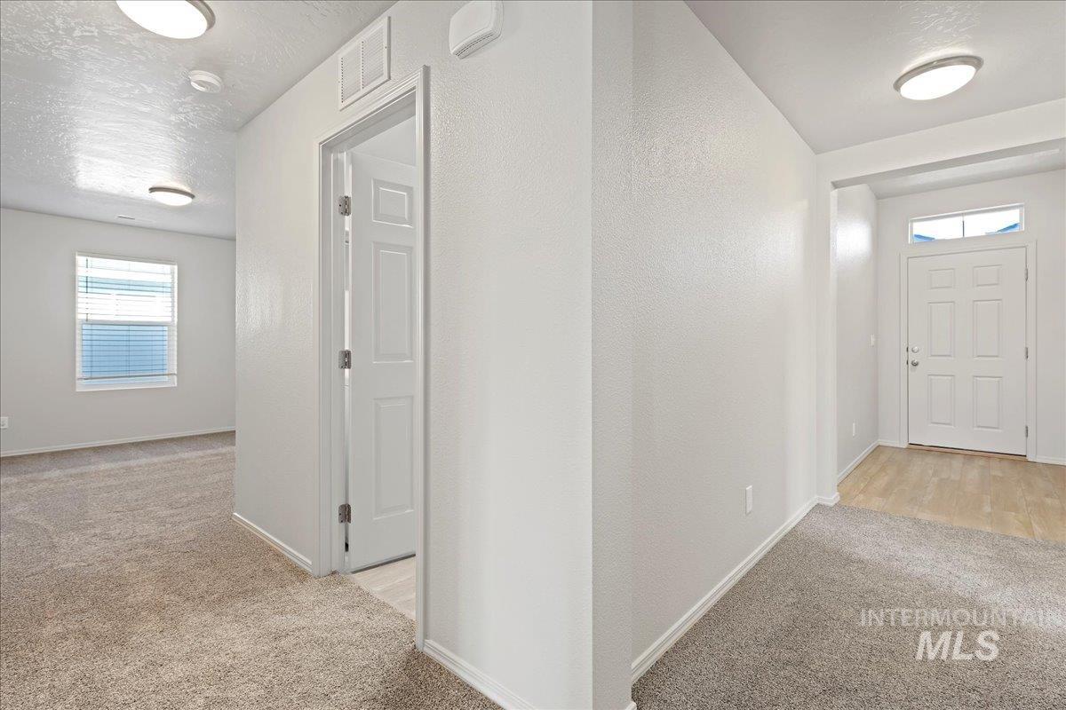 Hall featuring light carpet, plenty of natural light, and a textured ceiling