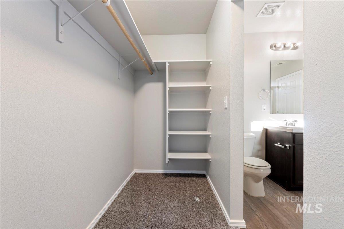 Spacious closet featuring dark carpet