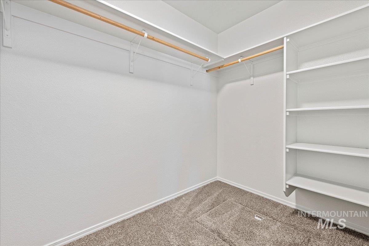 Walk in closet with light colored carpet