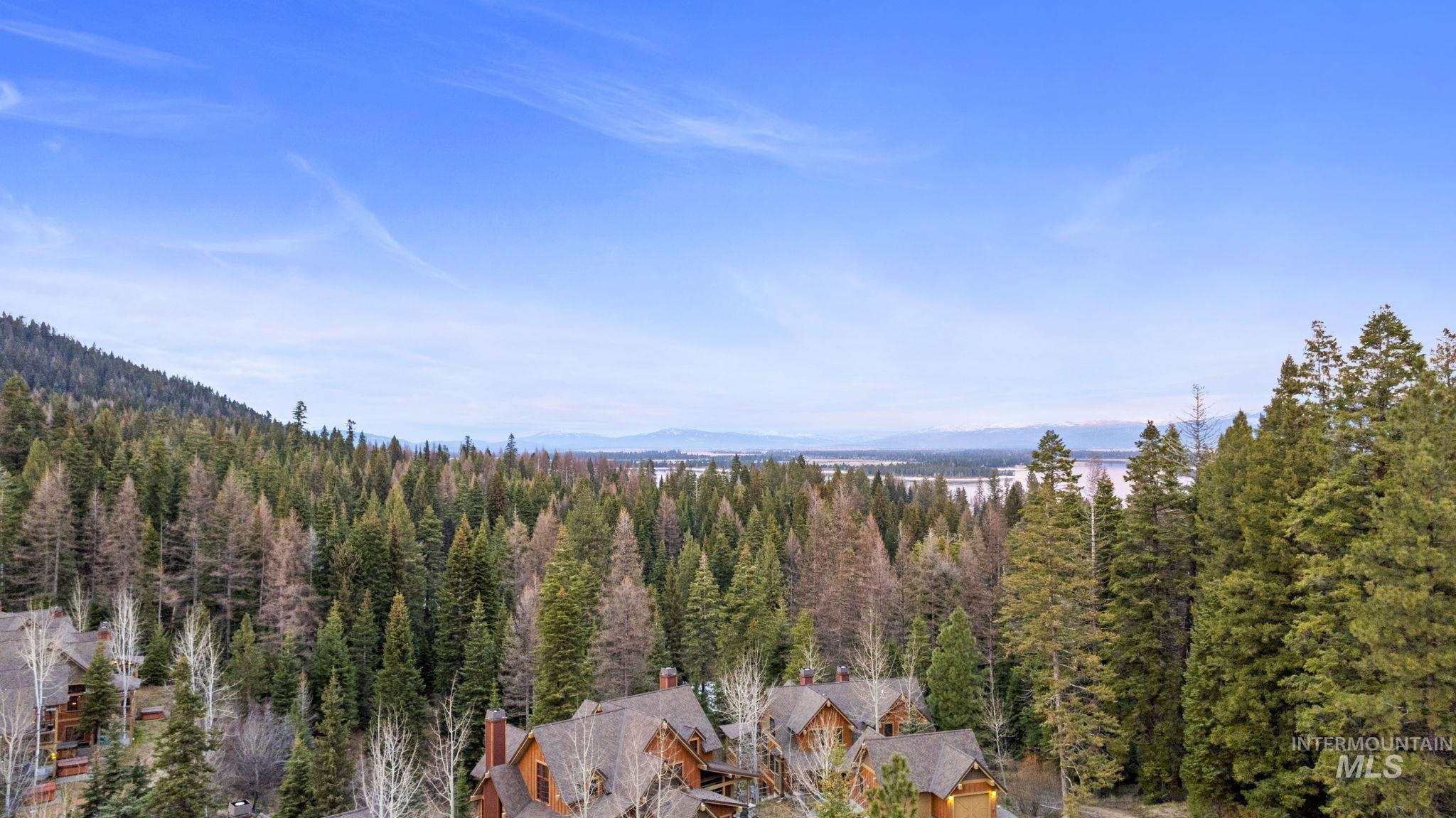 View of mountain background featuring a heavily wooded area