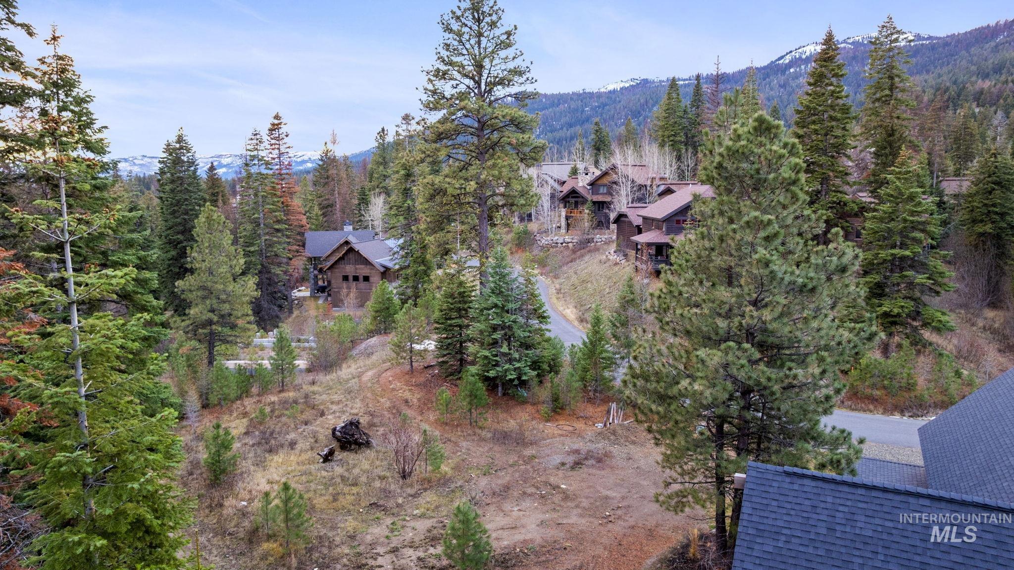 Aerial view of a heavily wooded area and mountains