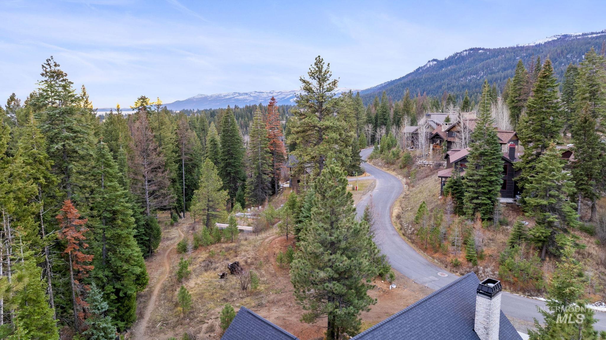 Bird's eye view of a forest and a mountainous background
