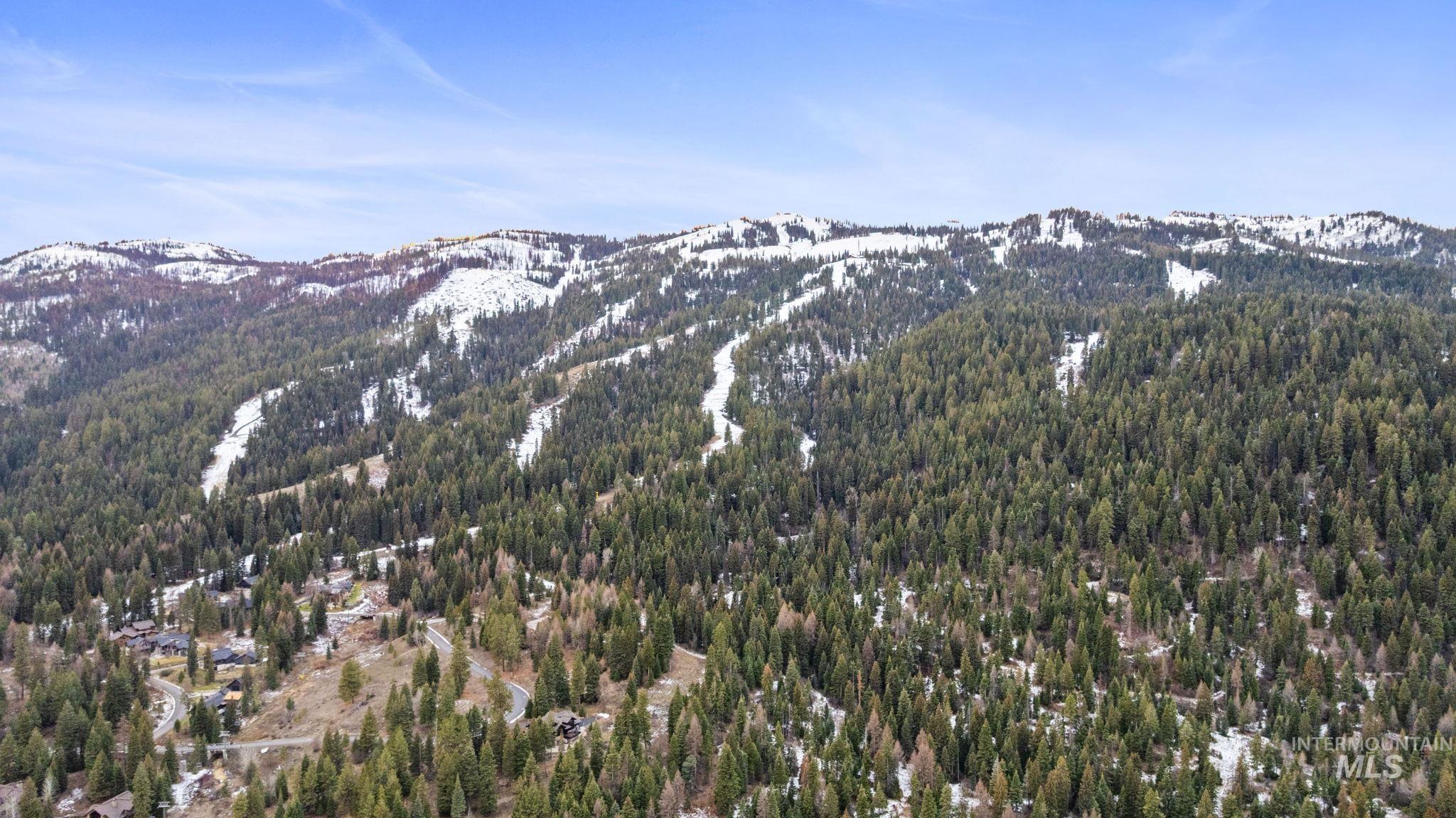 View of mountain backdrop featuring a forest