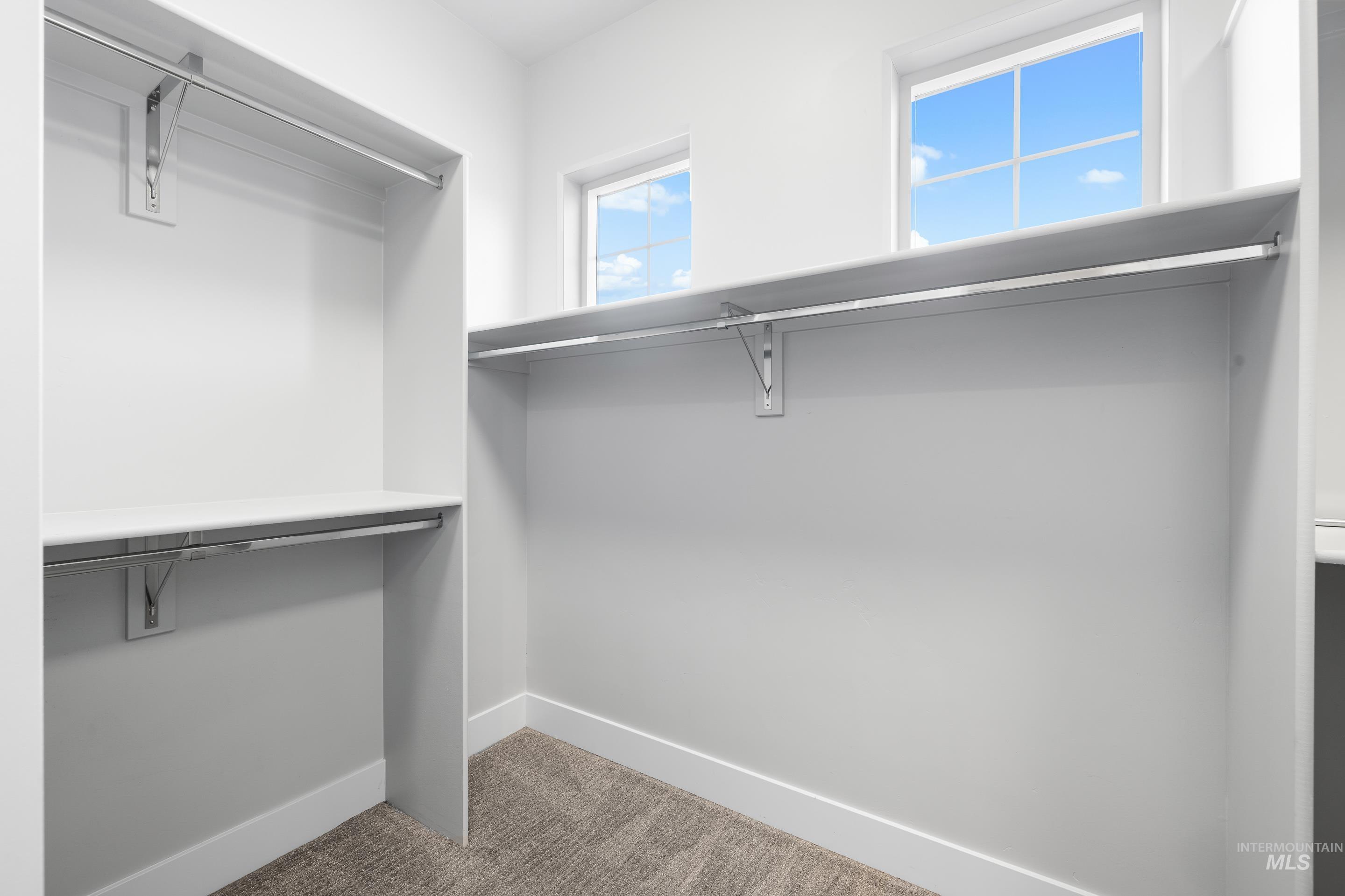 Spacious closet featuring light carpet