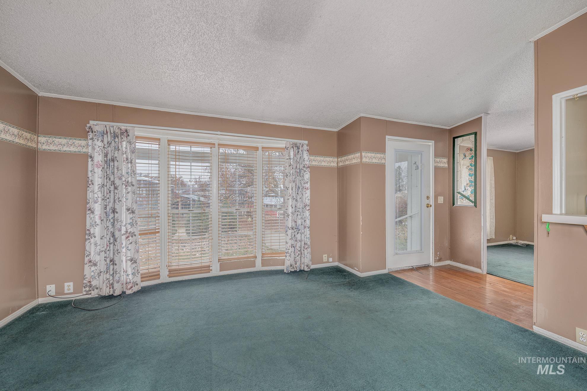 Unfurnished room with carpet flooring, a textured ceiling, and crown molding
