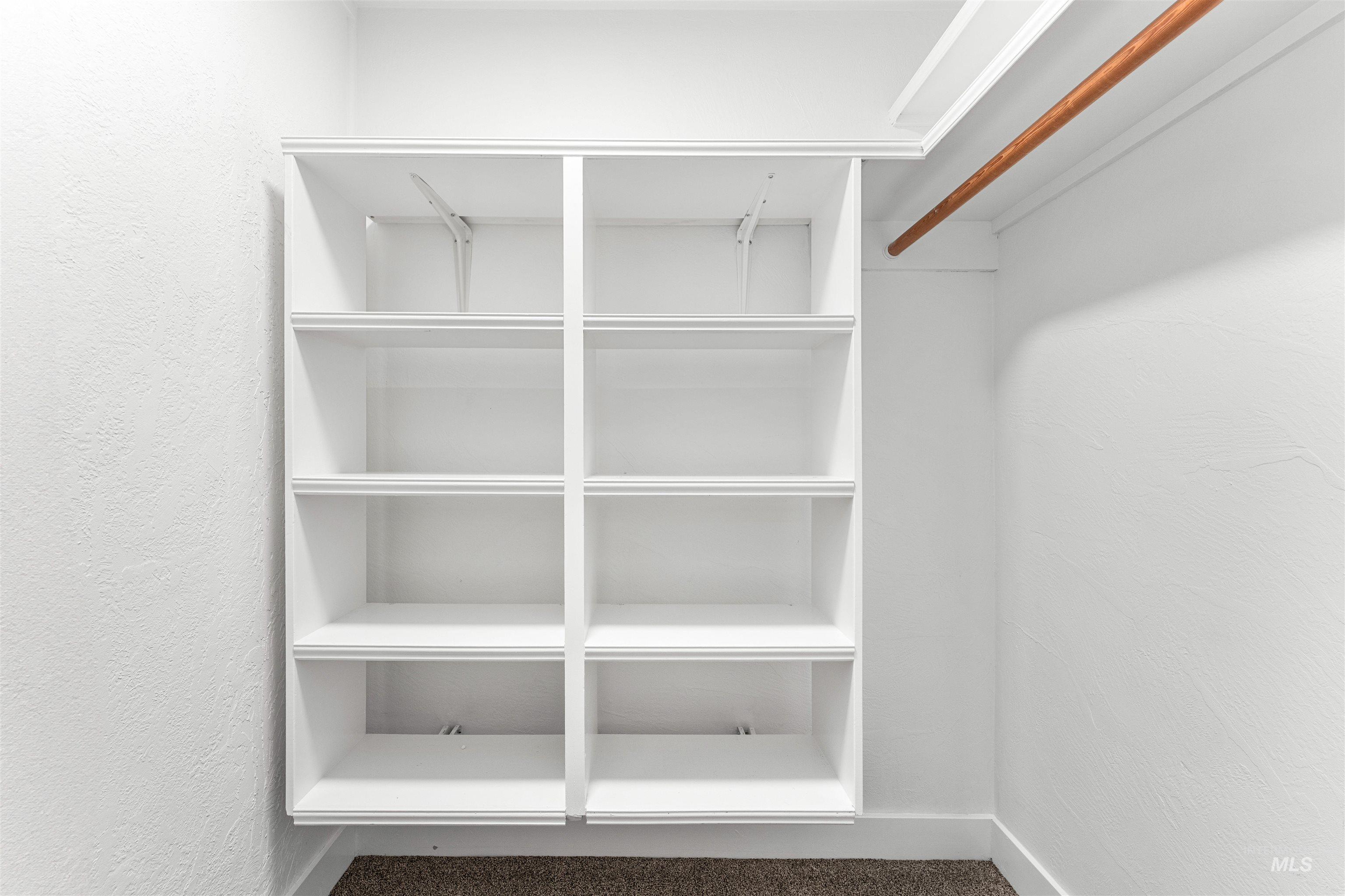 Spacious closet featuring carpet