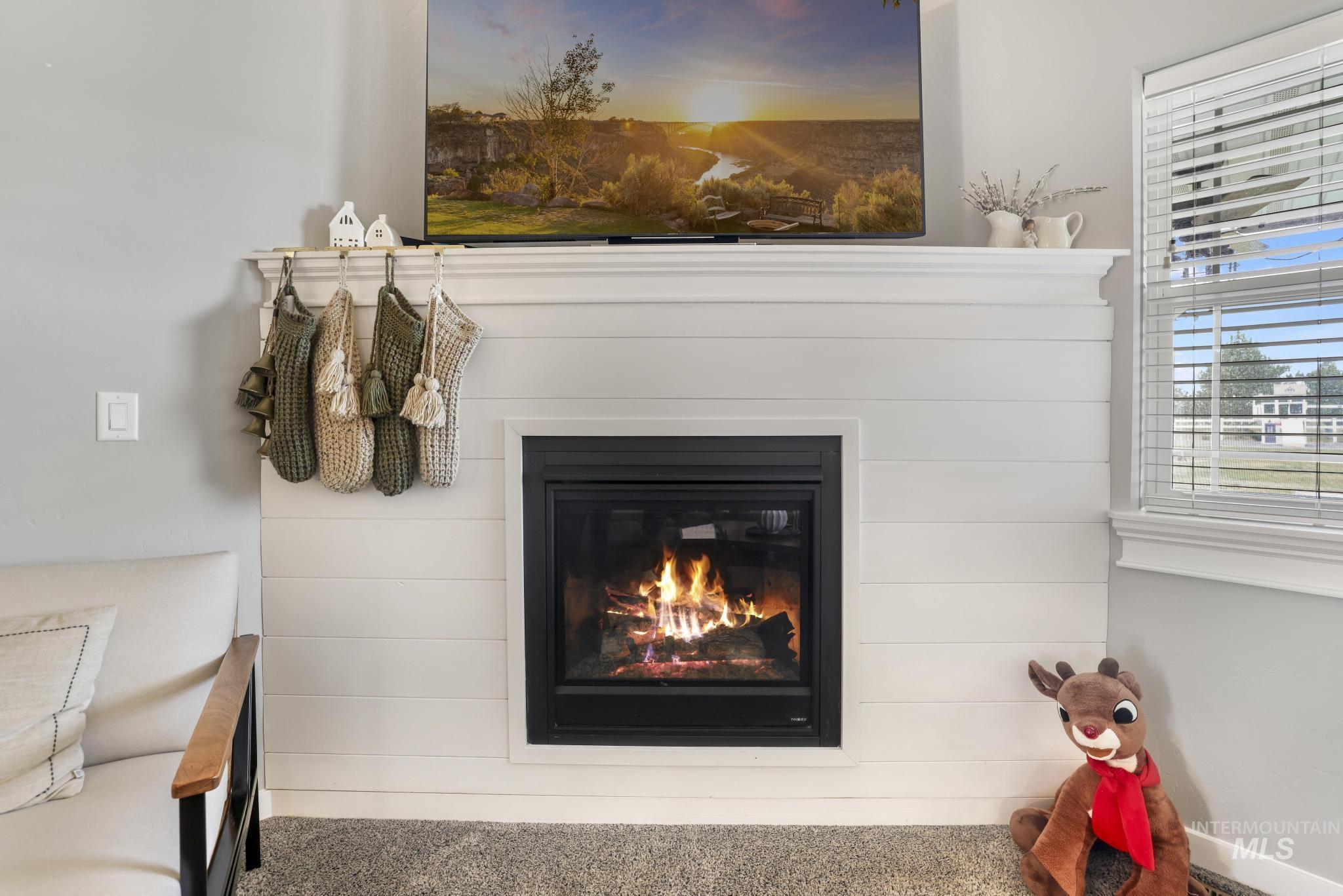 Detailed view of a glass covered fireplace and carpet floors
