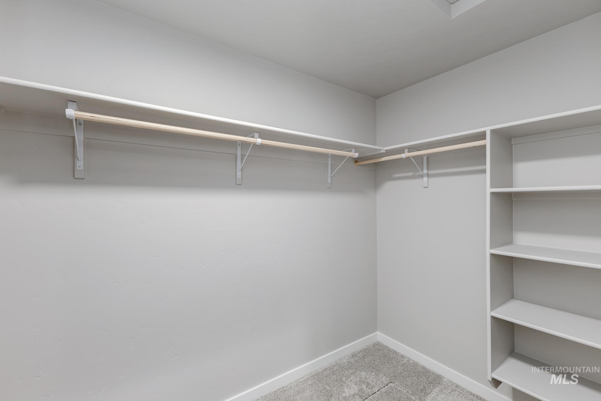 Spacious closet featuring light carpet