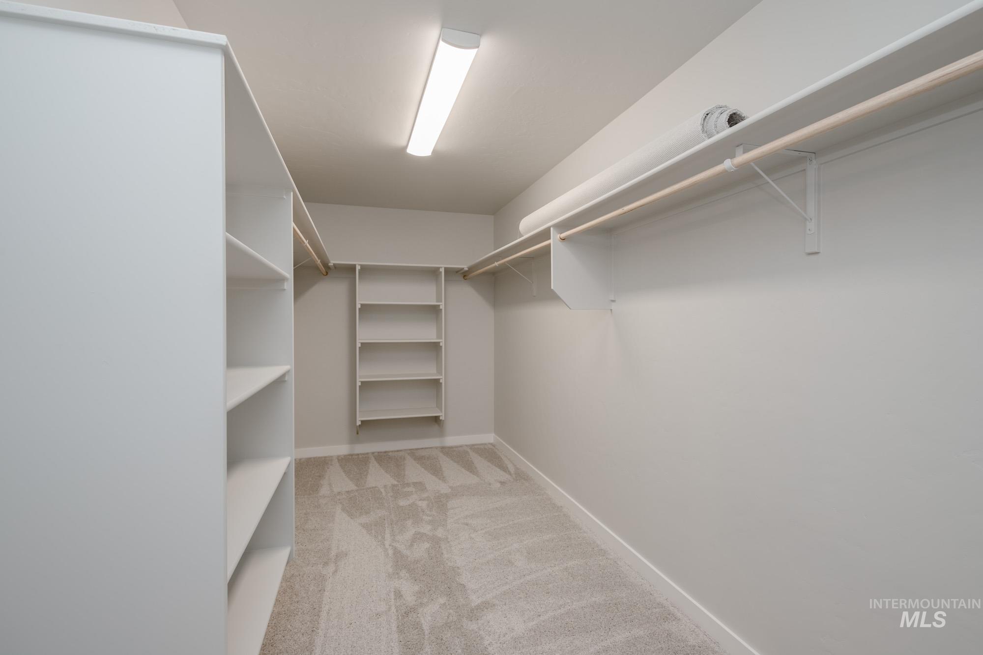 Spacious closet with light carpet