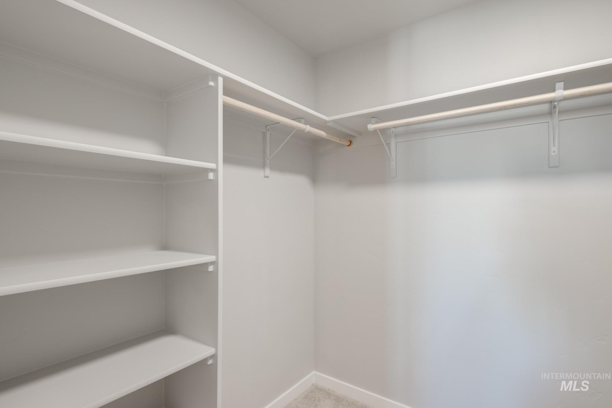 Walk in closet with light carpet