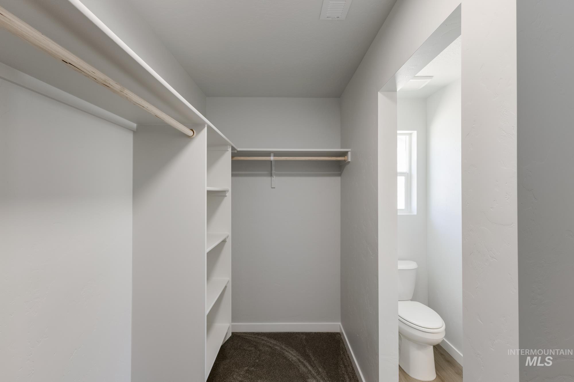Spacious closet with dark carpet