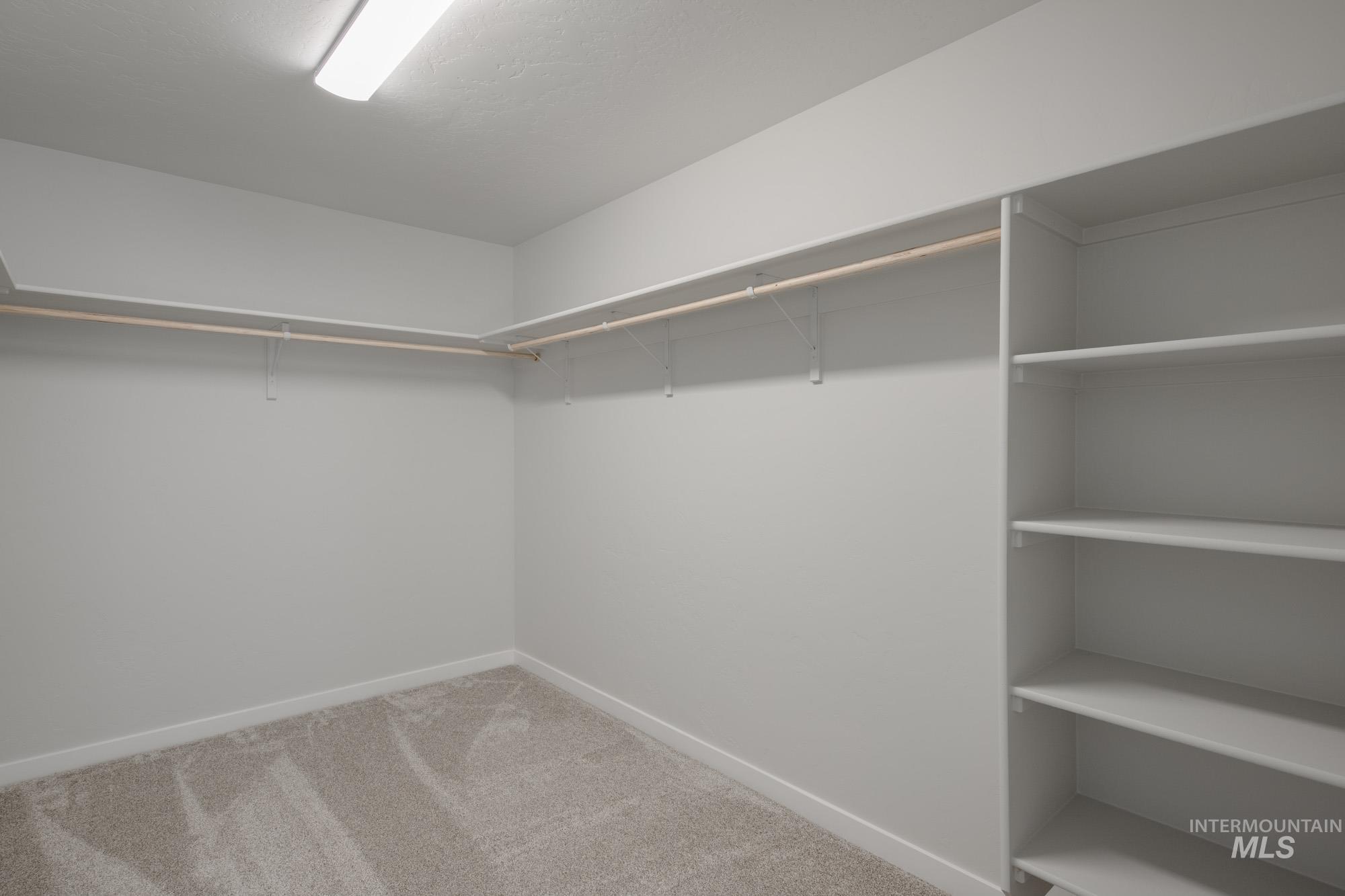 Spacious closet with light carpet