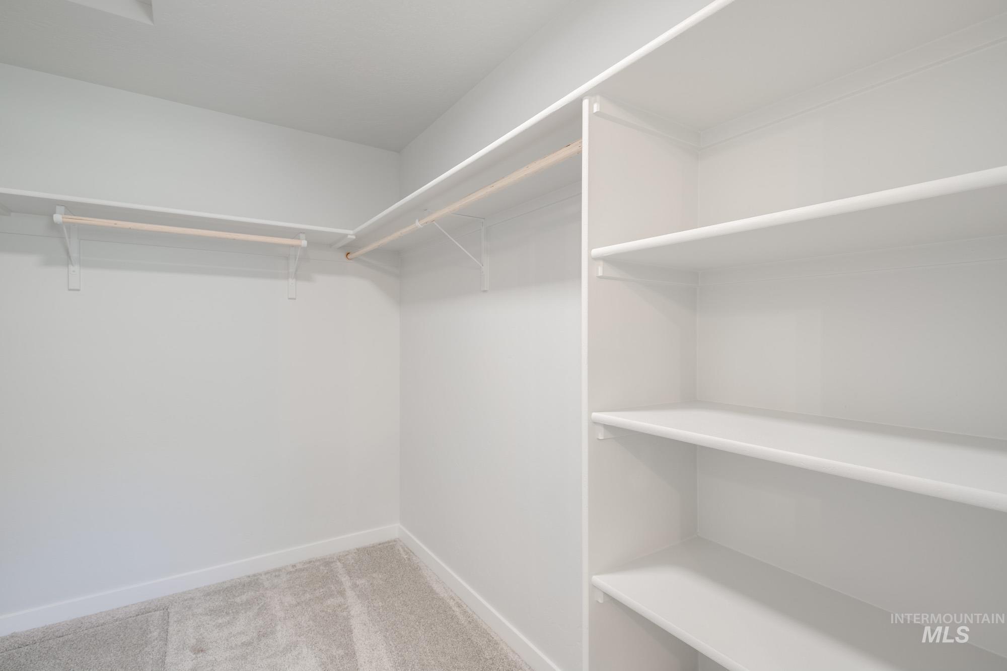 Walk in closet featuring light carpet