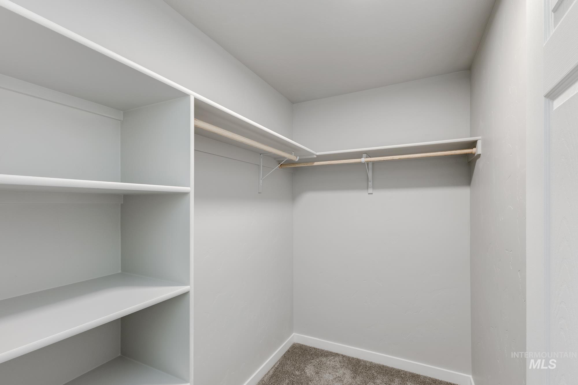 Walk in closet with carpet flooring