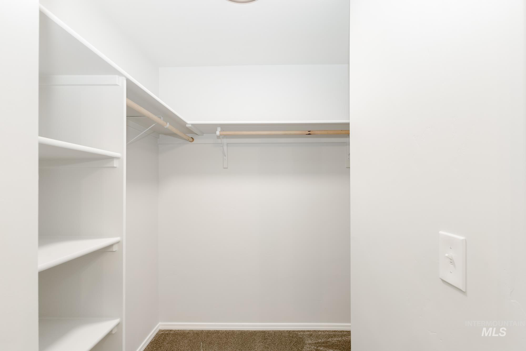 Spacious closet featuring dark colored carpet