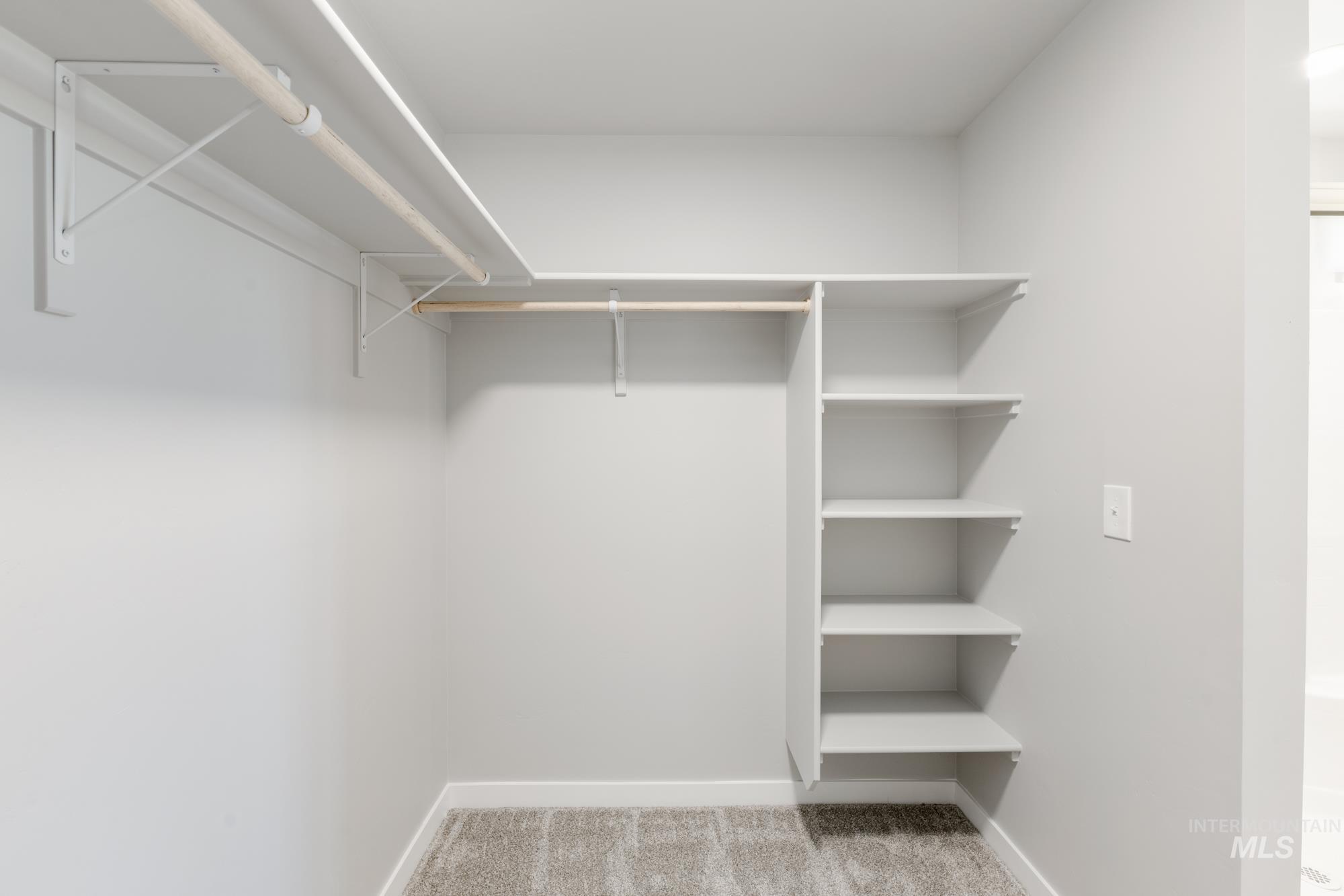 Walk in closet with light colored carpet