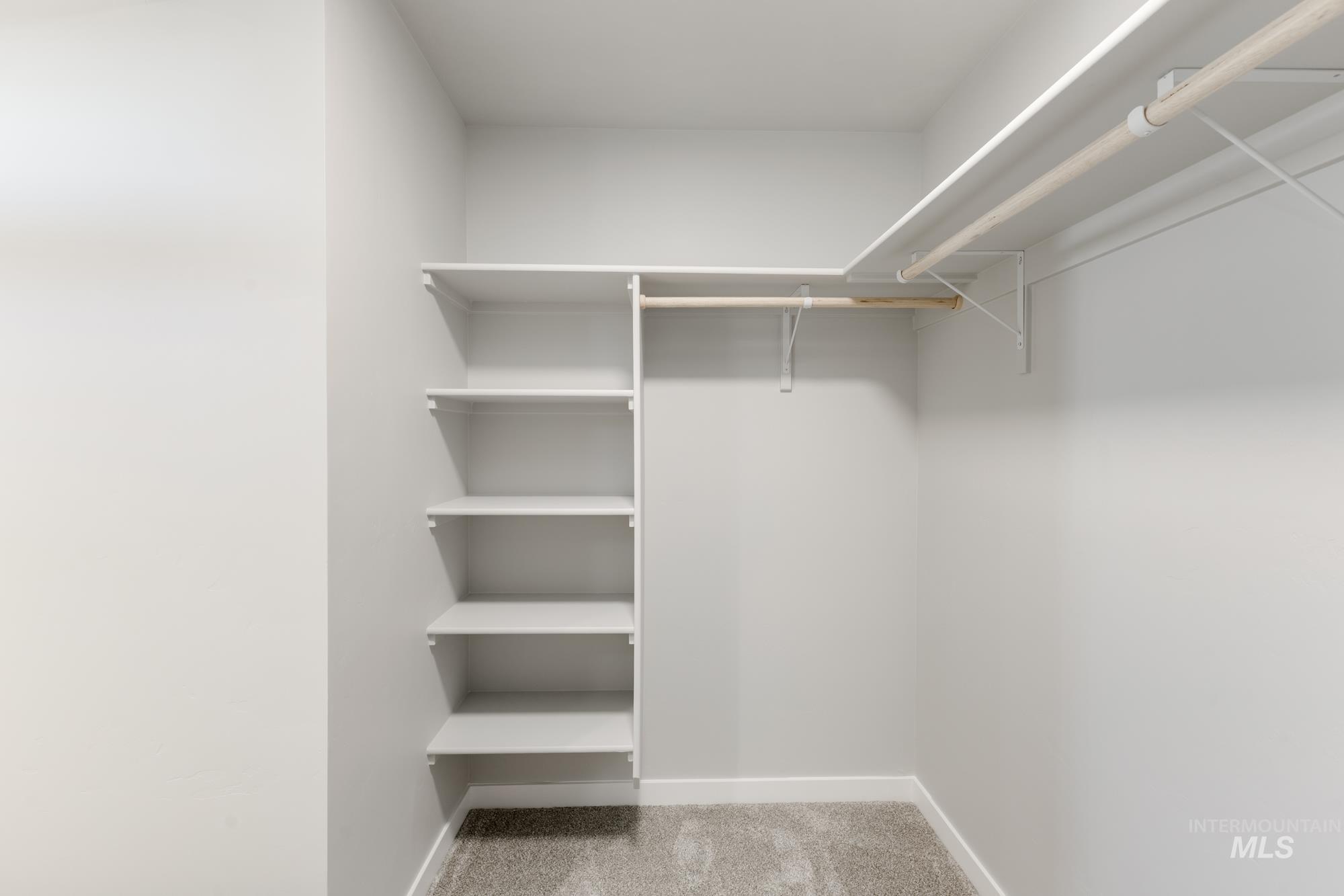 Spacious closet featuring light colored carpet