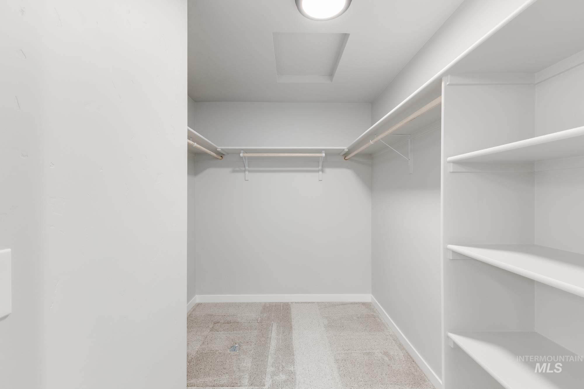Spacious closet featuring light colored carpet