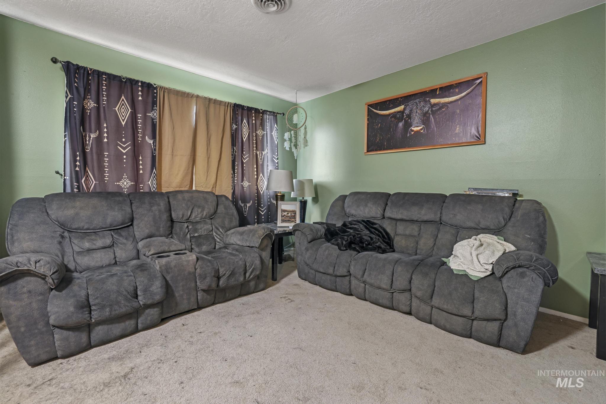Living room with carpet and a textured ceiling