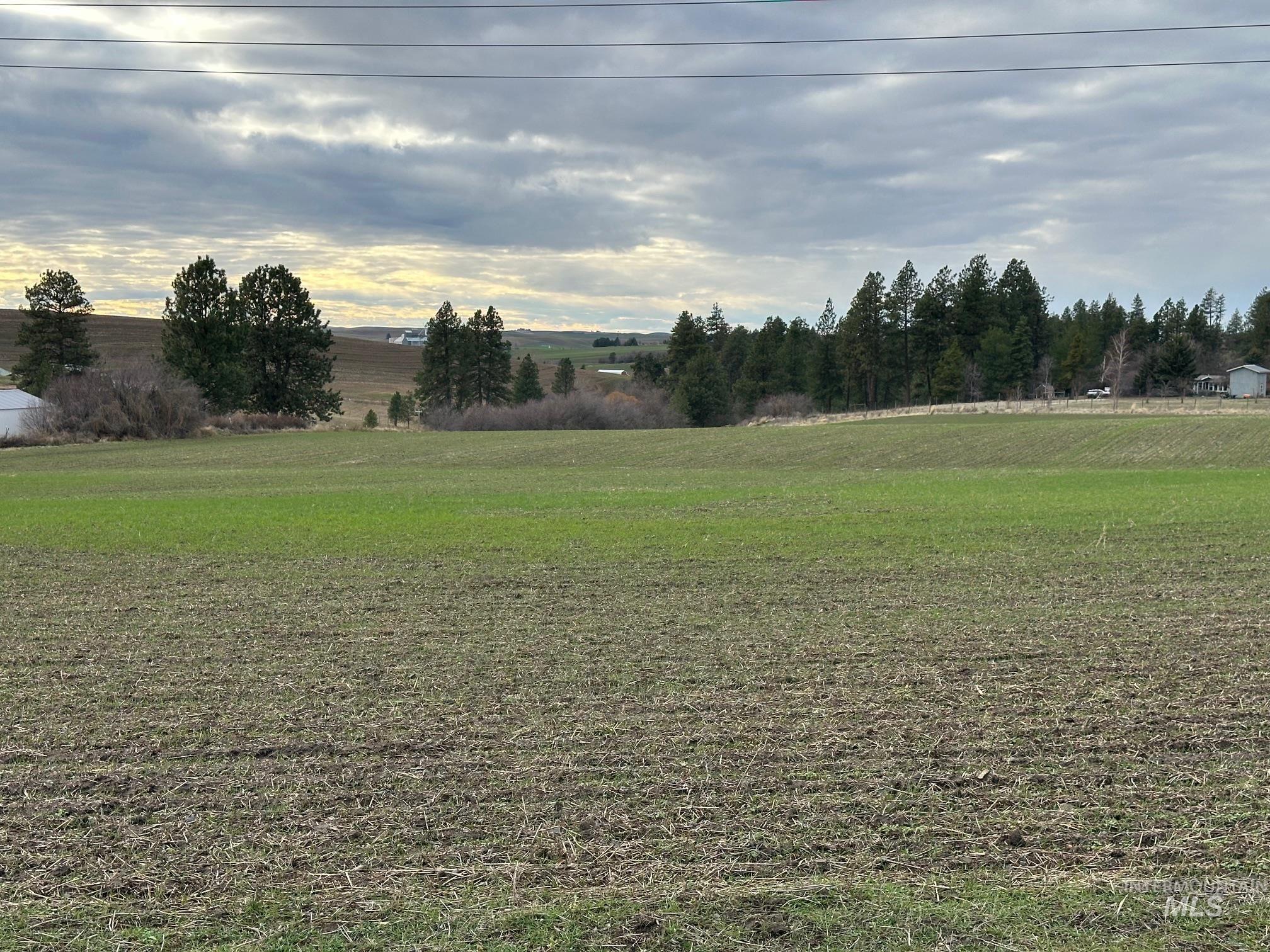 000 Chaney Rd, Viola, Idaho 83872, Land For Sale, Price $229,500, 98970369