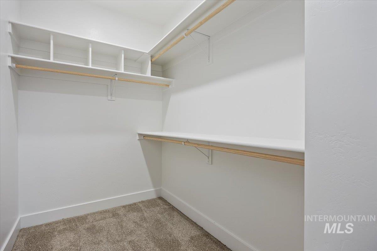 Walk in closet with light colored carpet