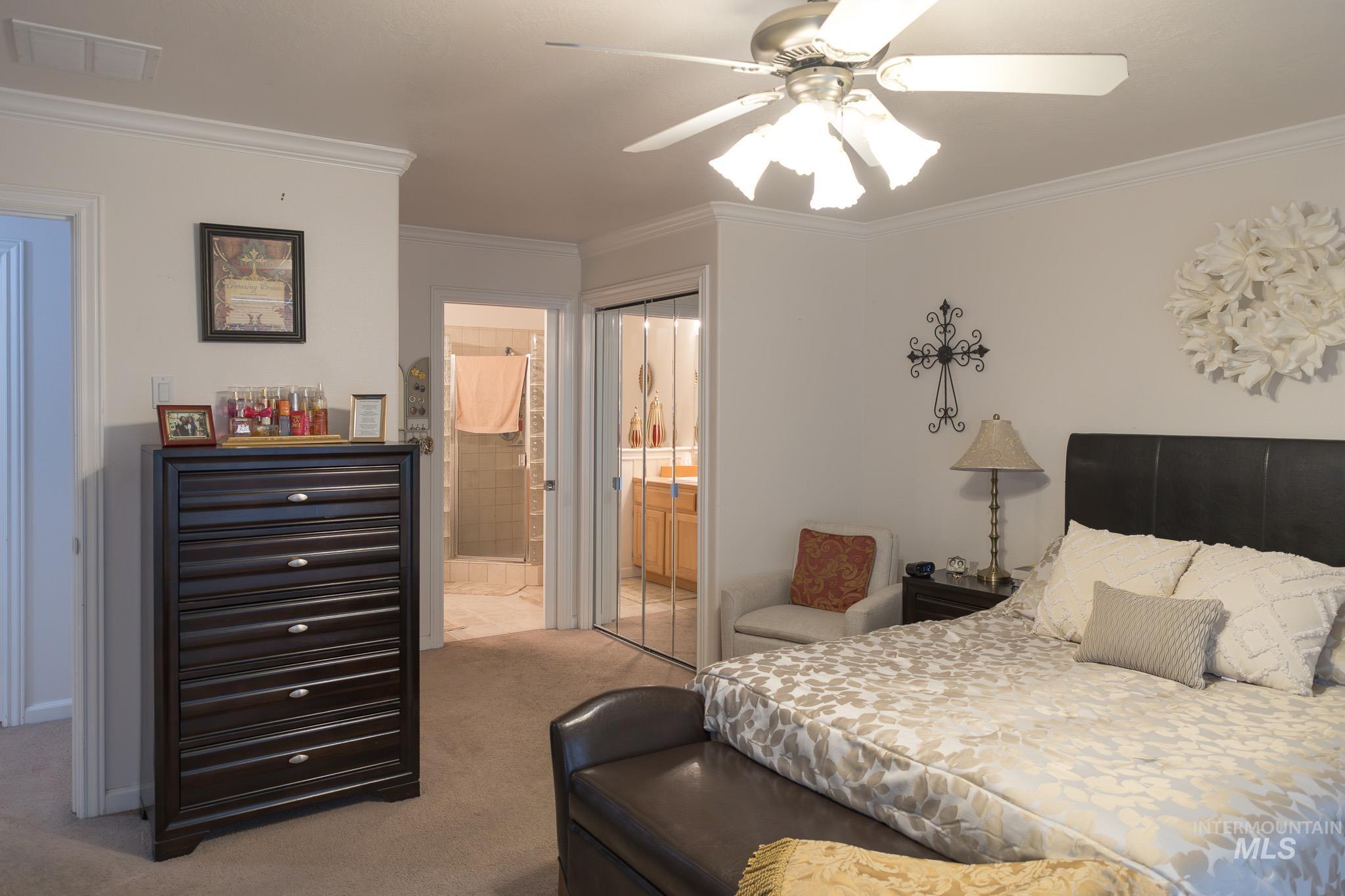 Bedroom with a closet, light colored carpet, ornamental molding, and a ceiling fan