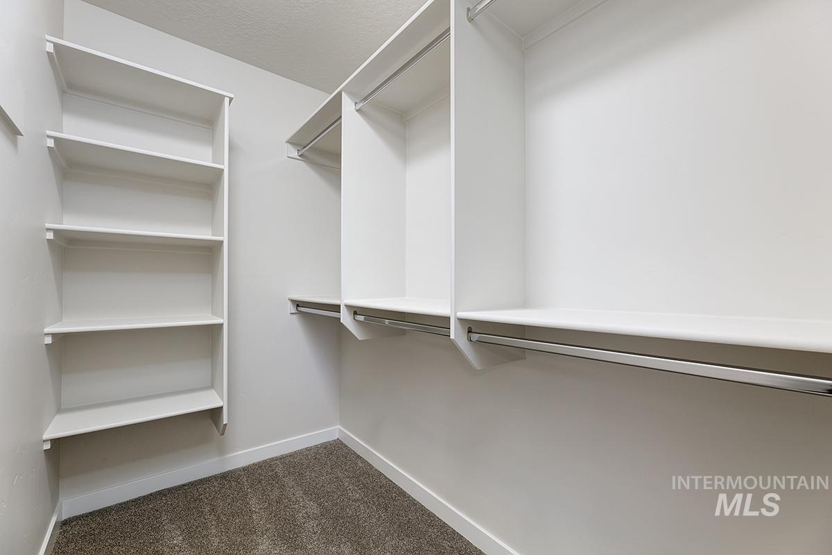 Spacious closet with dark colored carpet