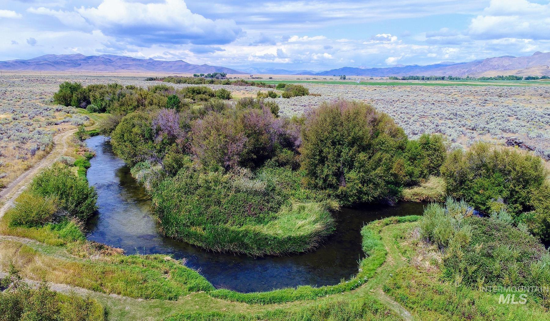 428 Cutoff Road, Picabo, Idaho 83313, 3 Bedrooms, 3 Bathrooms, Farm & Ranch For Sale, Price $12,500,000, 98970426