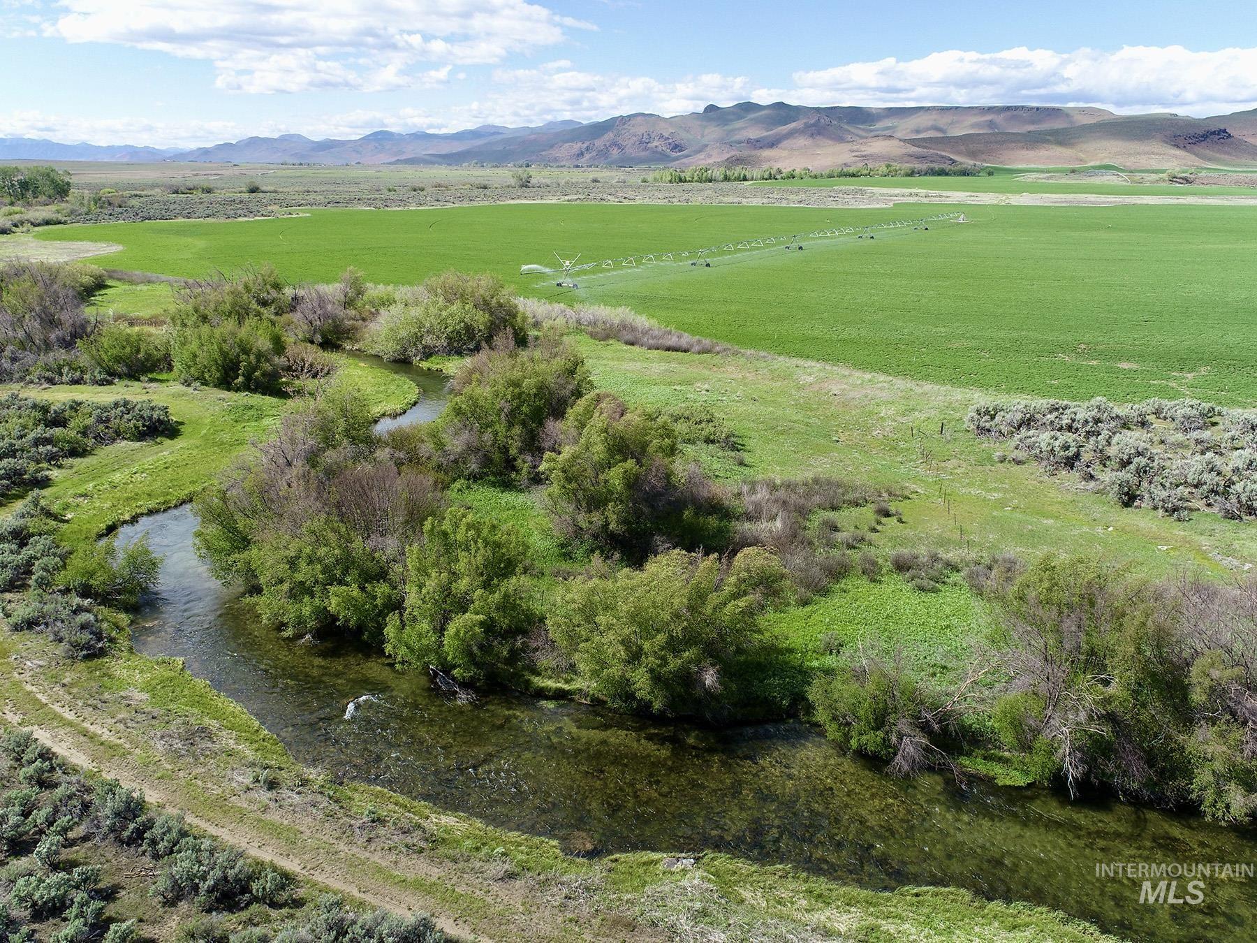 428 Cutoff Road, Picabo, Idaho 83313, 3 Bedrooms, 3 Bathrooms, Farm & Ranch For Sale, Price $12,500,000, 98970426