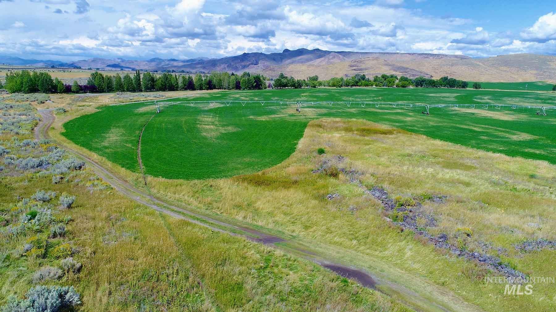 428 Cutoff Road, Picabo, Idaho 83313, 3 Bedrooms, 3 Bathrooms, Farm & Ranch For Sale, Price $12,500,000, 98970426