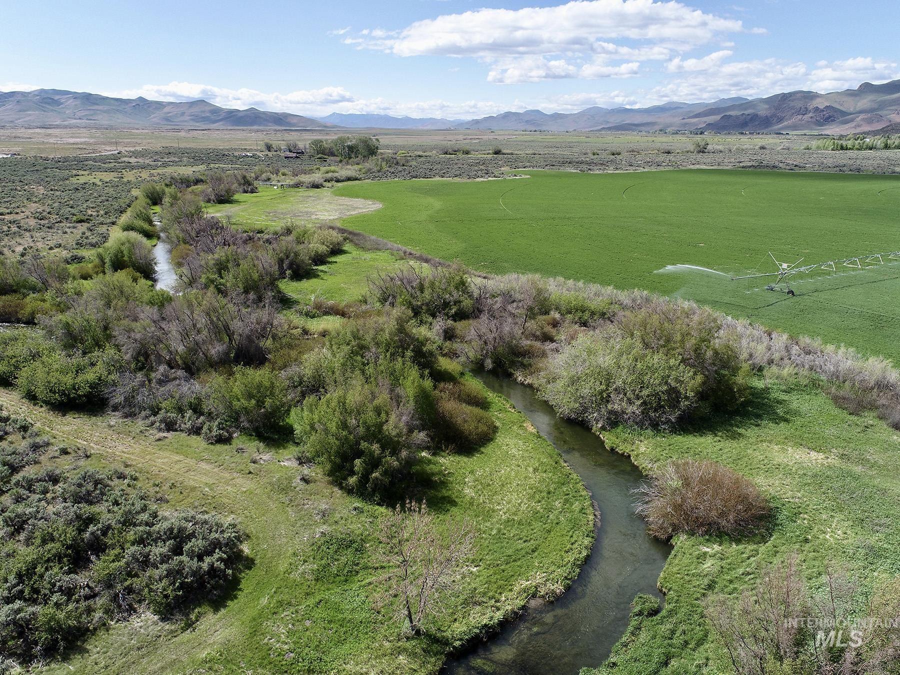 428 Cutoff Road, Picabo, Idaho 83313, 3 Bedrooms, 3 Bathrooms, Farm & Ranch For Sale, Price $12,500,000, 98970426