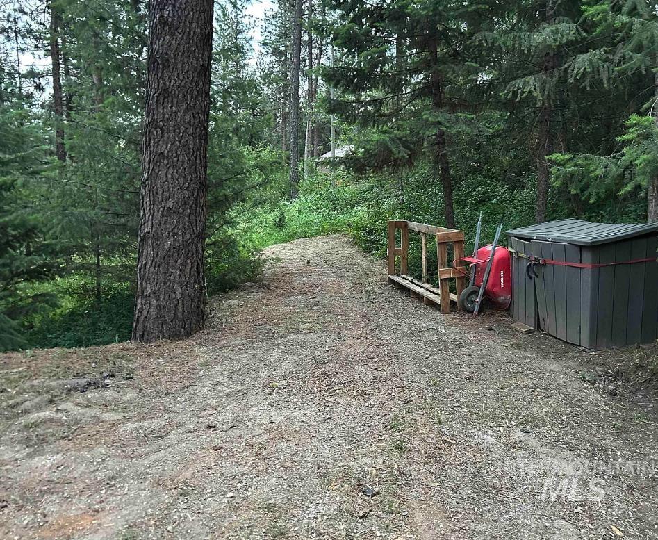 View of yard with a forest view