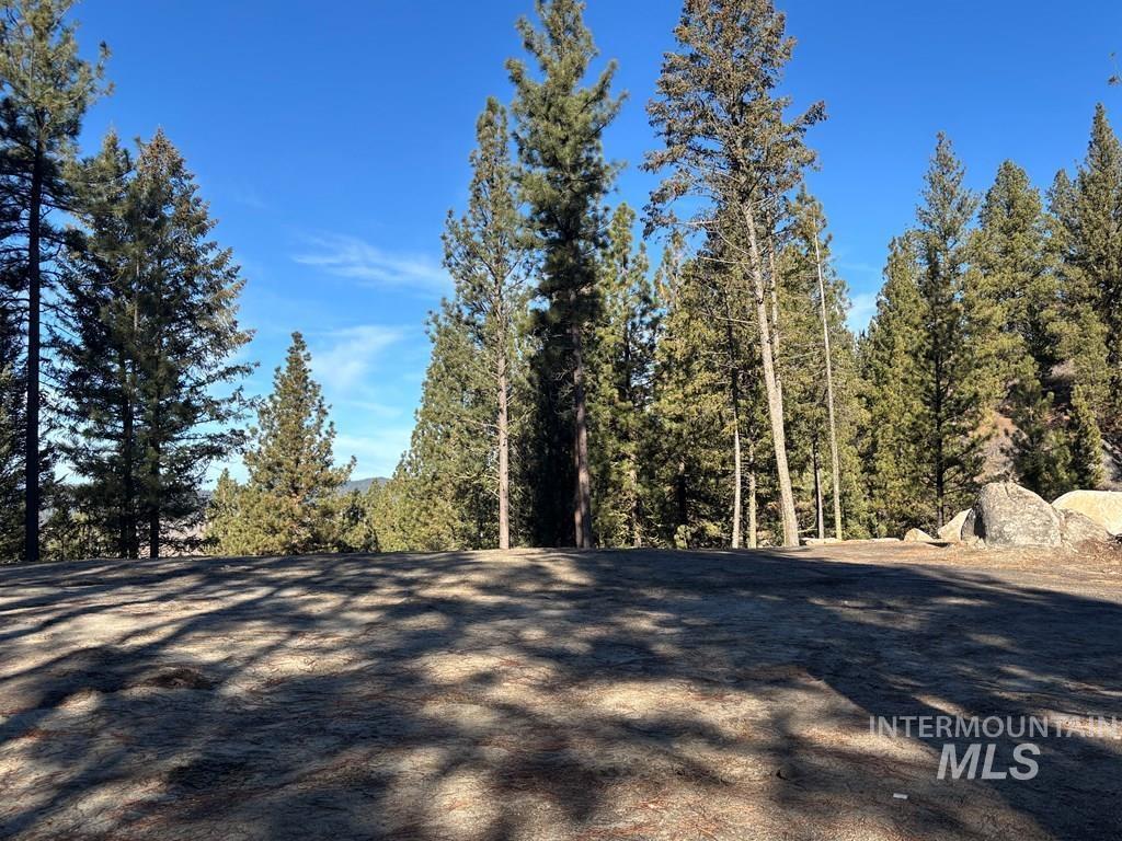 View of road featuring a wooded view