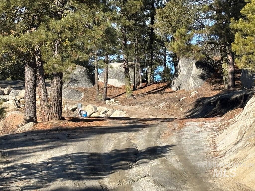 View of dirt / gravel road