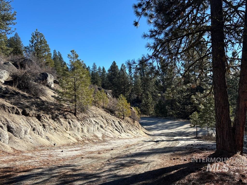 View of dirt / gravel road featuring a forest view