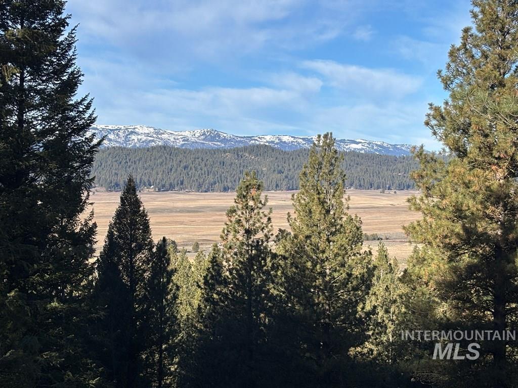 View of mountain backdrop featuring a forest