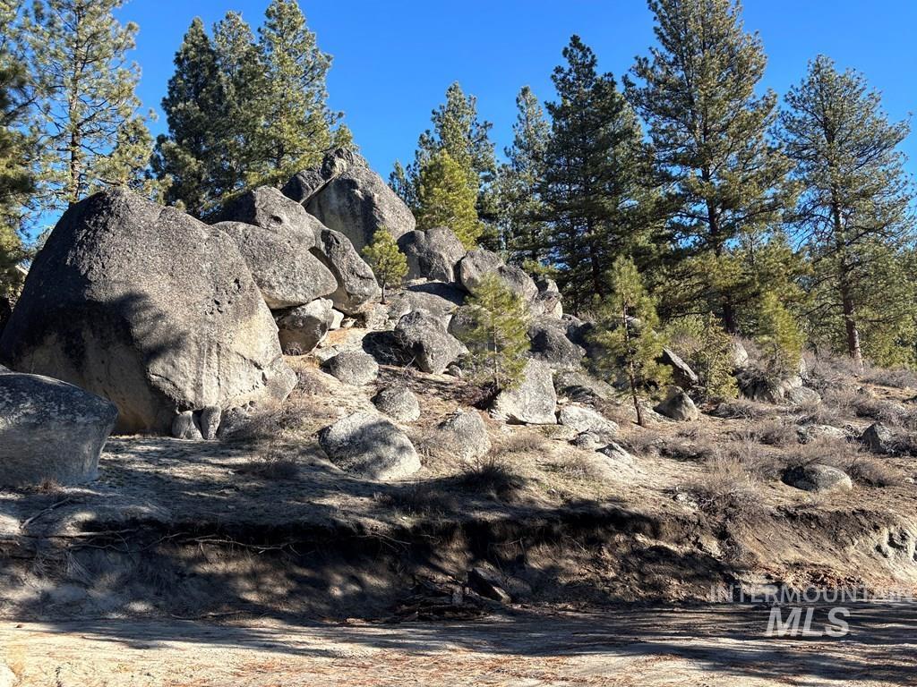 View of local wilderness