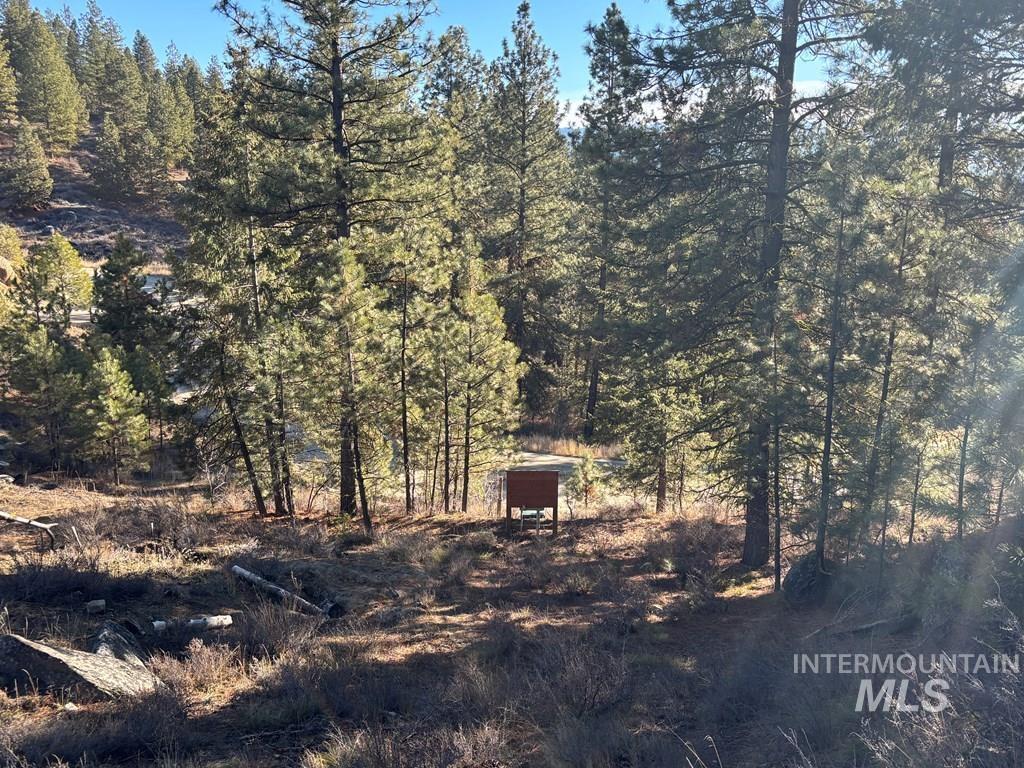 View of undeveloped land