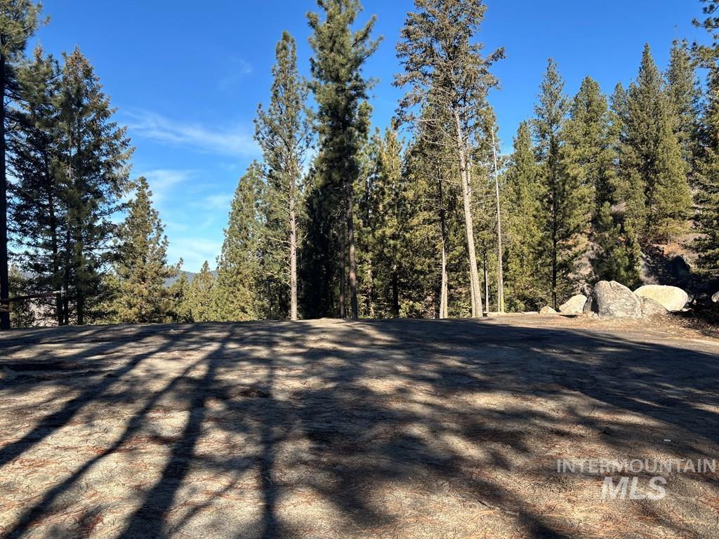 View of yard featuring a forest view
