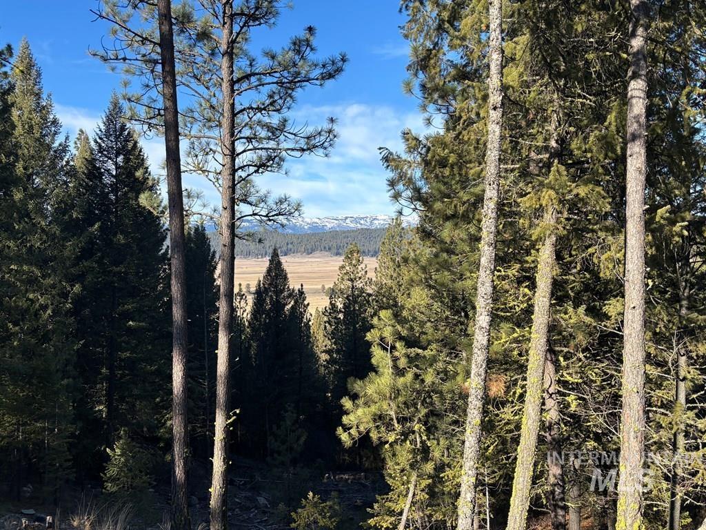 View of mountain backdrop with a forest