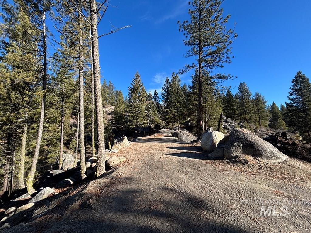 View of dirt / gravel road featuring a forest view