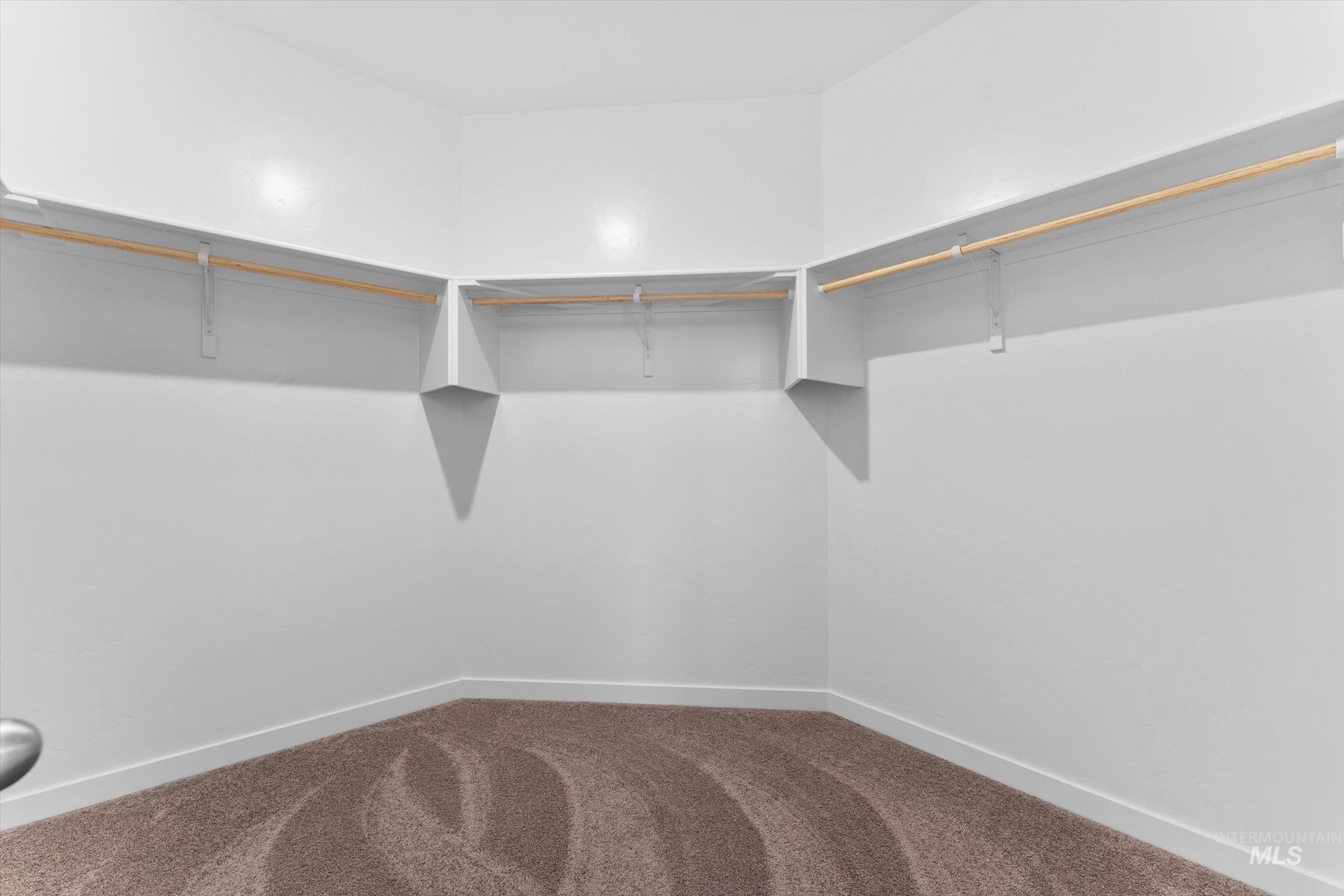 Walk in closet featuring carpet